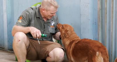 WVS completes record-breaking rabies drive